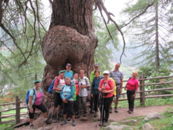 Foto davanti ad un albero speciale