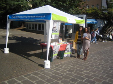 Stand informativo ponte talvera