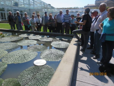 Il gruppo ammira una singolare specie di piante acquatiche la Euryale Ferox